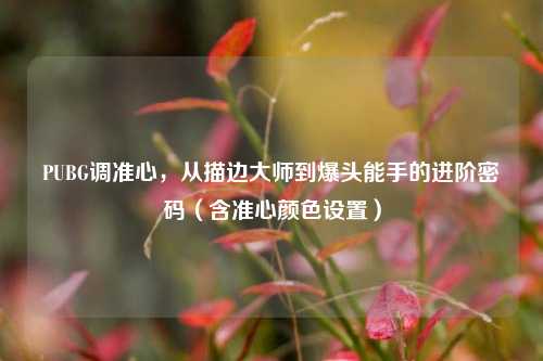 PUBG调准心，从描边大师到爆头能手的进阶密码（含准心颜色设置）