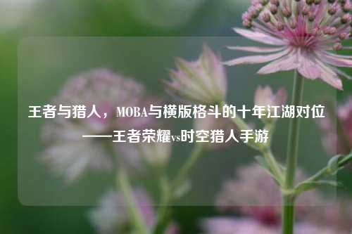 王者与猎人,MOBA与横版格斗的十年江湖对位——王者荣耀vs时空猎人手游