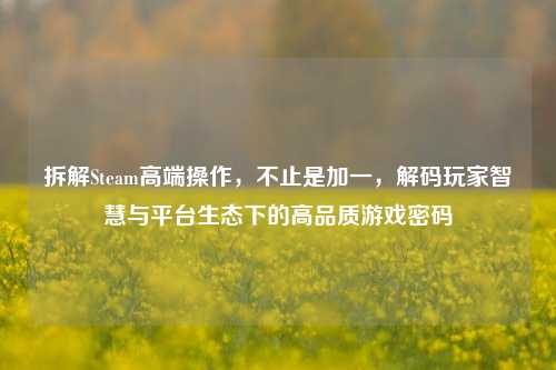 拆解Steam高端操作,不止是加一,解码玩家智慧与平台生态下的高品质游戏密码