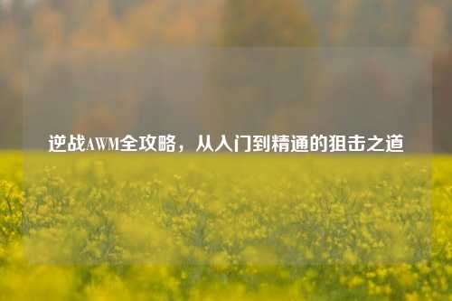 逆战AWM全攻略,从入门到精通的狙击之道