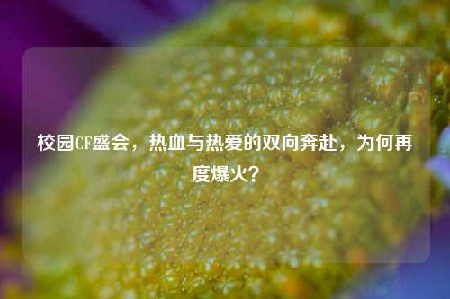 校园CF盛会,热血与热爱的双向奔赴,为何再度爆火?