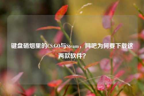 键盘硝烟里的CS:GO与Steam，网吧为何要下载这两款软件？