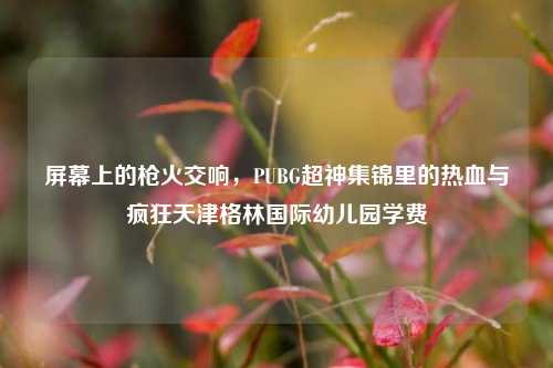 屏幕上的枪火交响，PUBG超神集锦里的热血与疯狂天津格林国际幼儿园学费