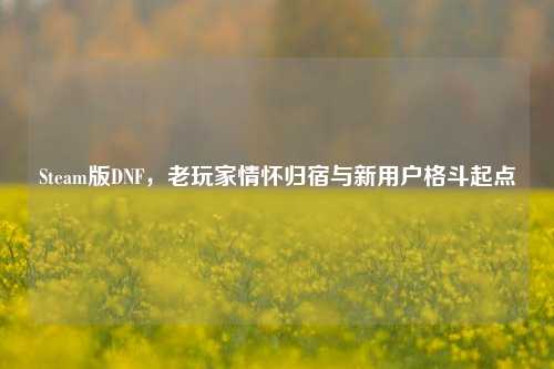Steam版DNF，老玩家情怀归宿与新用户格斗起点