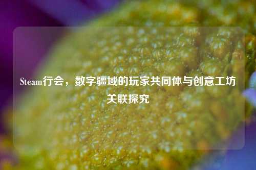 Steam行会，数字疆域的玩家共同体与创意工坊关联探究