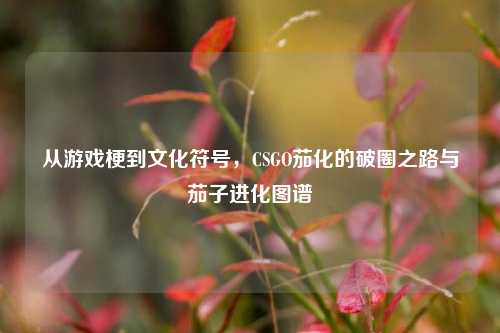 从游戏梗到文化符号，CSGO茄化的破圈之路与茄子进化图谱
