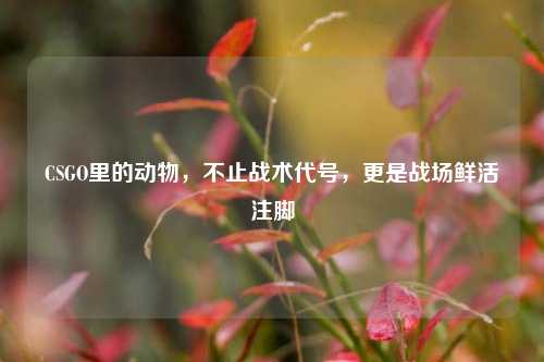 CSGO里的动物，不止战术代号，更是战场鲜活注脚