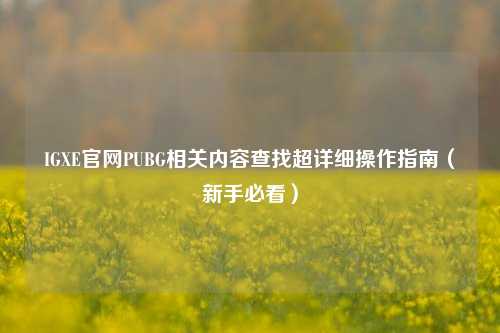 IGXE官网PUBG相关内容查找超详细操作指南（新手必看）