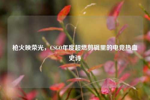 枪火映荣光，CSGO年度超燃剪辑里的电竞热血史诗