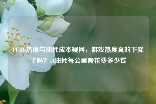PUBG热度与油耗成本疑问，游戏热度真的下降了吗？14油耗每公里需花费多少钱