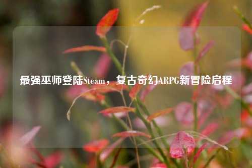 最强巫师登陆Steam,复古奇幻ARPG新冒险启程