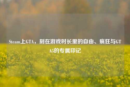 Steam上GTA，刻在游戏时长里的自由、疯狂与GTA5的专属印记