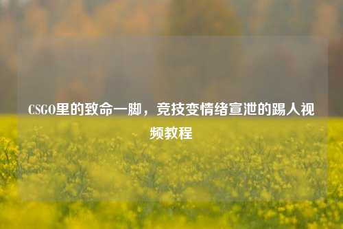 CSGO里的致命一脚,竞技变情绪宣泄的踢人视频教程