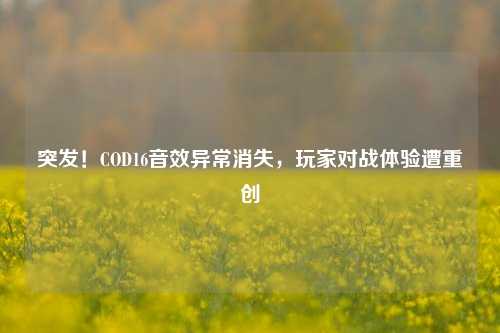 突发！COD16音效异常消失，玩家对战体验遭重创