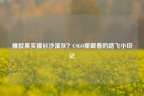 橡胶果实撞衫沙漠灰？CSGO里藏着的路飞小印记