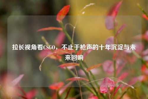 拉长视角看CSGO，不止于枪声的十年沉淀与未来回响