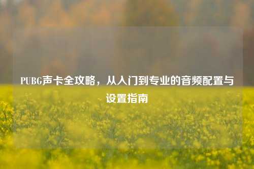PUBG声卡全攻略,从入门到专业的音频配置与设置指南