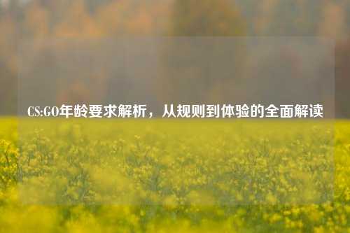 CS:GO年龄要求解析，从规则到体验的全面解读