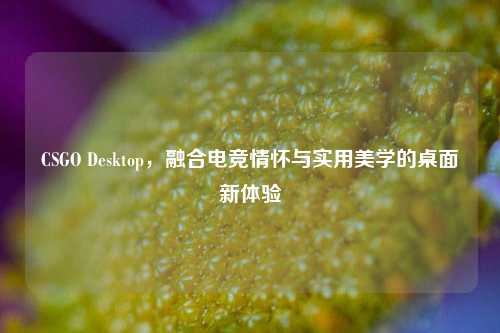 CSGO Desktop，融合电竞情怀与实用美学的桌面新体验