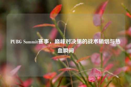 PUBG Summit赛事,巅峰对决里的战术硝烟与热血瞬间