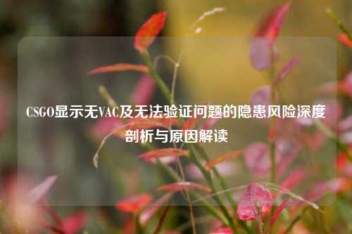 CSGO显示无VAC及无法验证问题的隐患风险深度剖析与原因解读