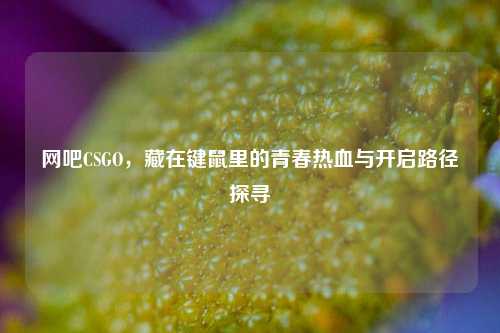 网吧CSGO，藏在键鼠里的青春热血与开启路径探寻
