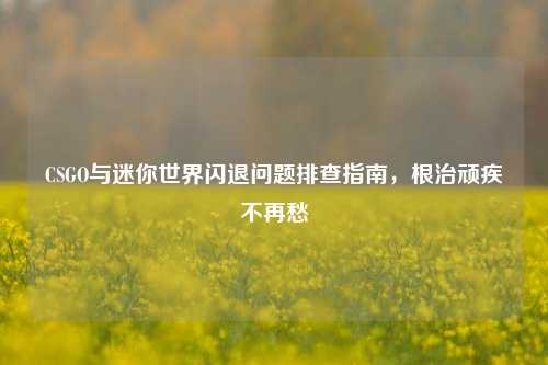 CSGO与迷你世界闪退问题排查指南，根治顽疾不再愁