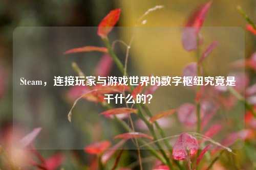 Steam,连接玩家与游戏世界的数字枢纽究竟是干什么的?