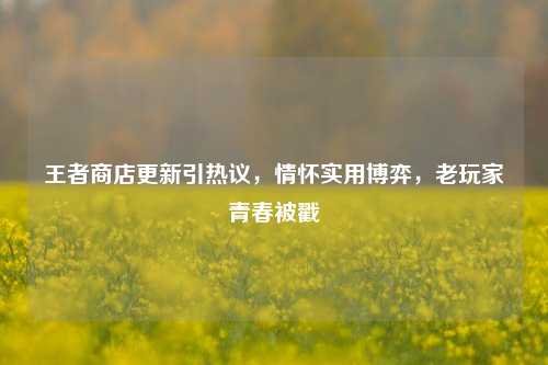 王者商店更新引热议,情怀实用博弈,老玩家青春被戳