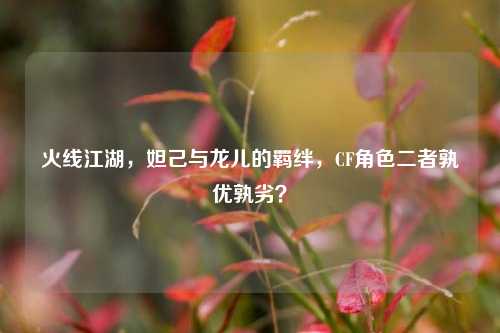 火线江湖，妲己与龙儿的羁绊，CF角色二者孰优孰劣？