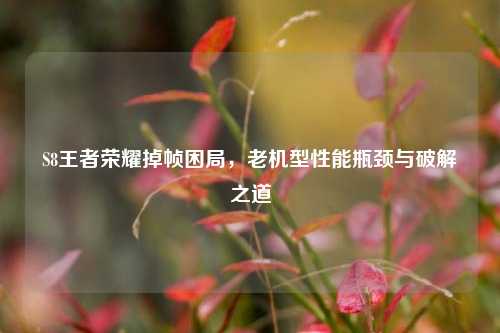 S8王者荣耀掉帧困局，老机型性能瓶颈与破解之道