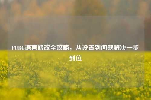 PUBG语言修改全攻略，从设置到问题解决一步到位