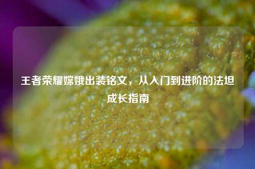 王者荣耀嫦娥出装铭文,从入门到进阶的法坦成长指南