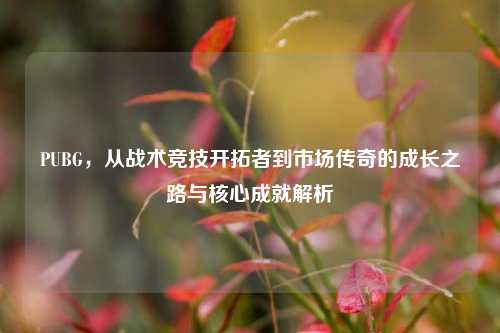 PUBG,从战术竞技开拓者到市场传奇的成长之路与核心成就解析
