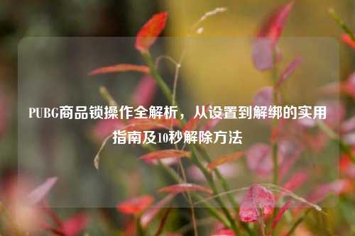 PUBG商品锁操作全解析，从设置到解绑的实用指南及10秒解除方法
