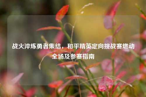 战火淬炼勇者集结,和平精英定向挑战赛燃动全场及参赛指南