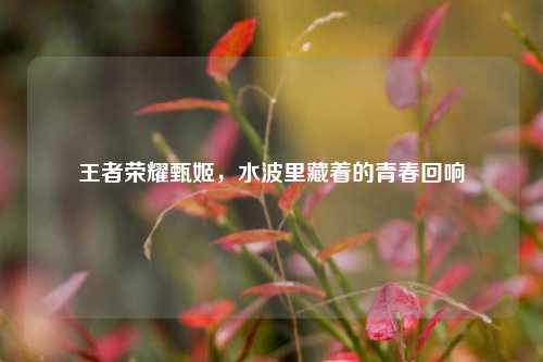 王者荣耀甄姬，水波里藏着的青春回响
