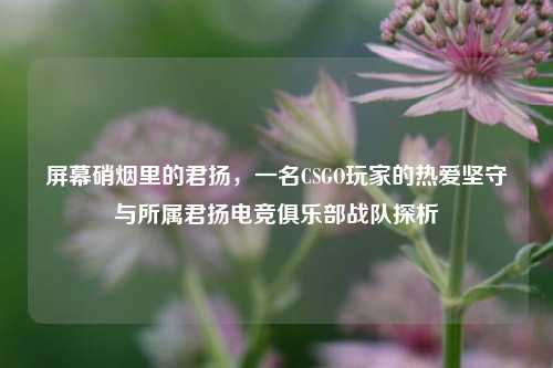 屏幕硝烟里的君扬,一名CSGO玩家的热爱坚守与所属君扬电竞俱乐部战队探析