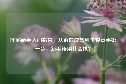 PUBG新手入门指南,从落地成盒到生存高手第一步,新手该用什么枪?
