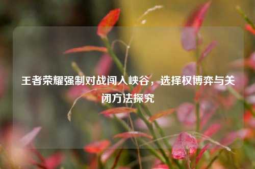 王者荣耀强制对战闯入峡谷,选择权博弈与关闭方法探究