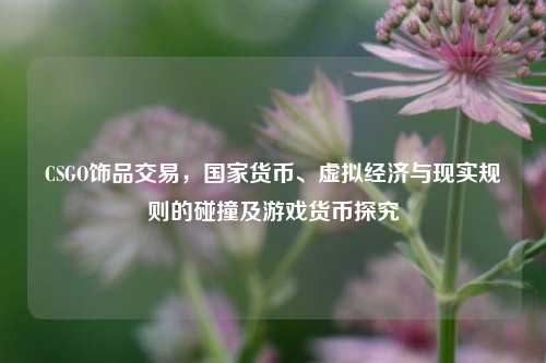 CSGO饰品交易,国家货币、虚拟经济与现实规则的碰撞及游戏货币探究