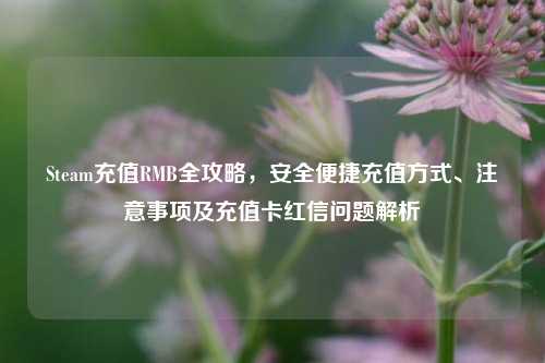 Steam充值RMB全攻略，安全便捷充值方式、注意事项及充值卡红信问题解析