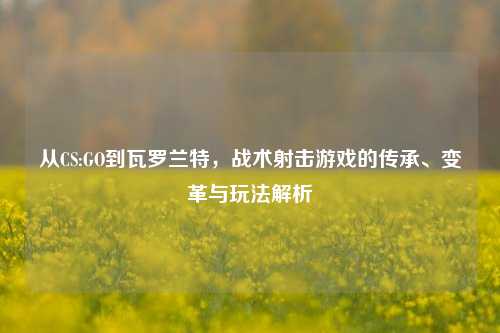 从CS:GO到瓦罗兰特，战术射击游戏的传承、变革与玩法解析