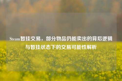 Steam暂挂交易，部分物品仍能卖出的背后逻辑与暂挂状态下的交易可能性解析