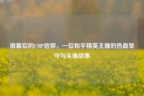 屏幕后的UMP信仰，一位和平精英主播的热血坚守与头像故事