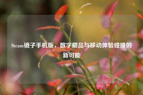 Steam镜子手机版，数字藏品与移动体验碰撞的新可能