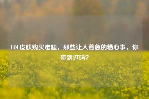 LOL皮肤购买难题,那些让人着急的糟心事,你碰到过吗?