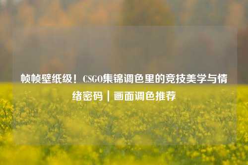帧帧壁纸级！CSGO集锦调色里的竞技美学与情绪密码｜画面调色推荐