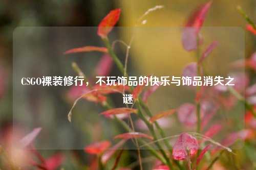 CSGO裸装修行，不玩饰品的快乐与饰品消失之谜