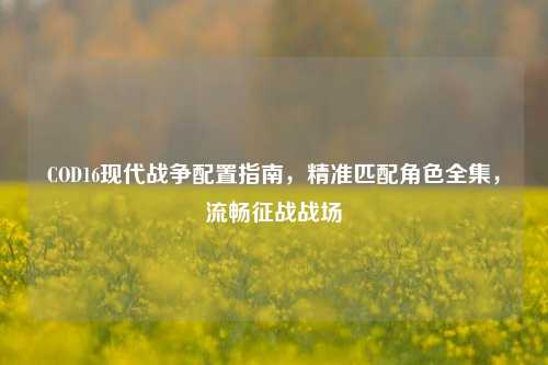COD16现代战争配置指南,精准匹配角色全集,流畅征战战场